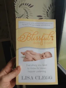 The Blissful Baby Expert Cover