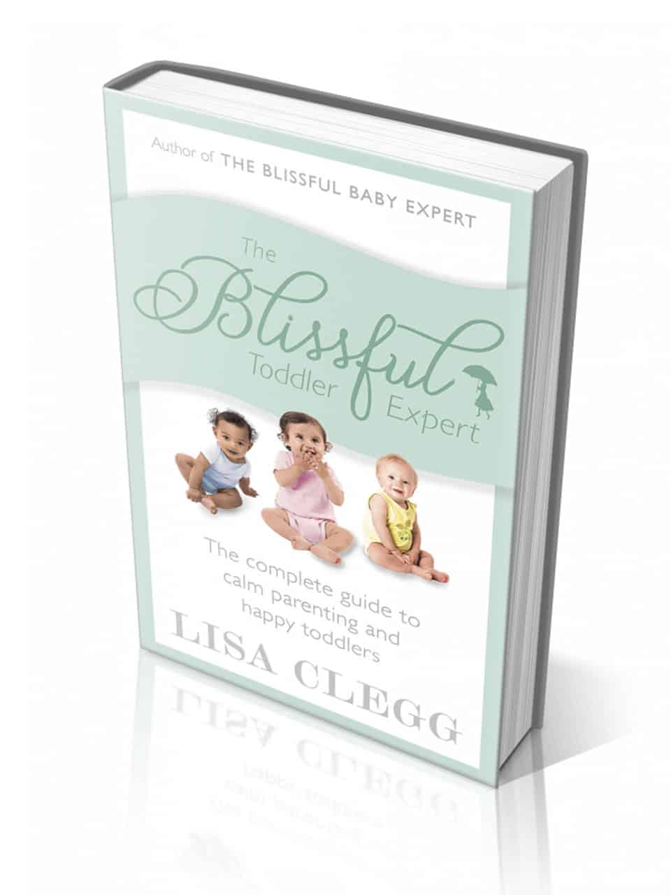 blissful-toddler-expert