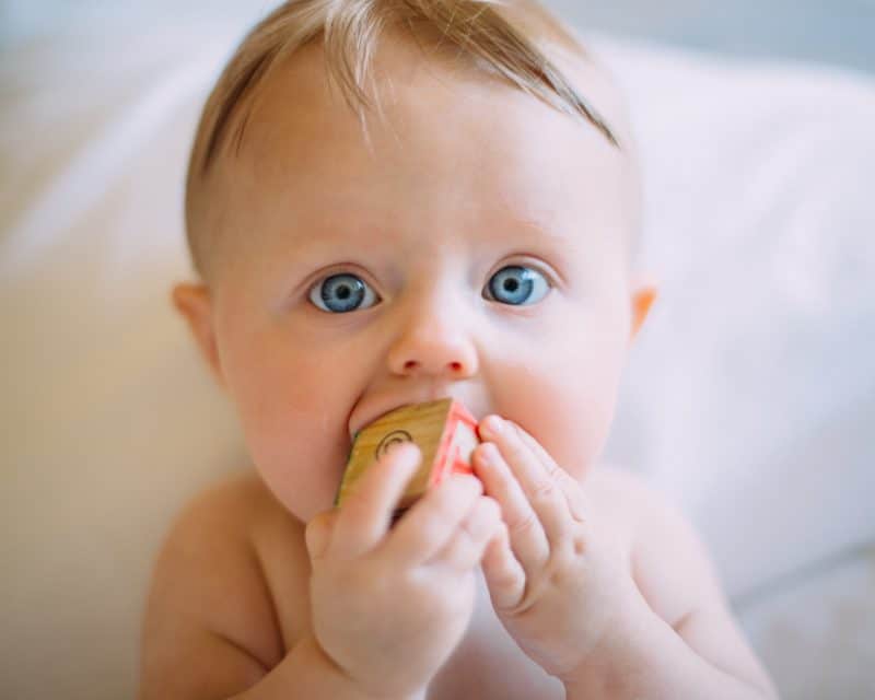 Baby chewing on toy block